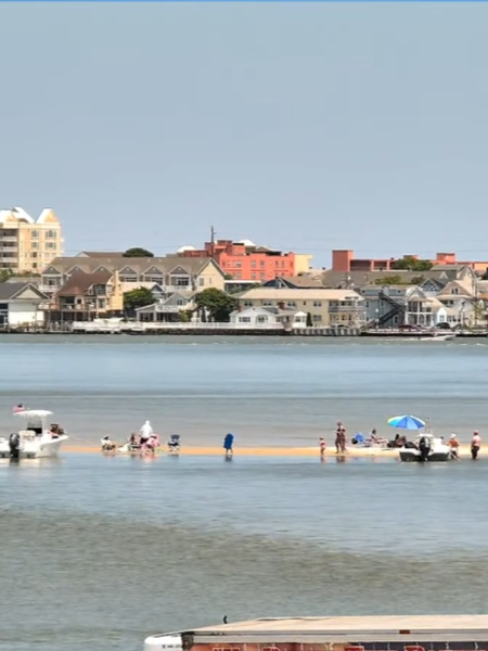 Live webcam view of the bay