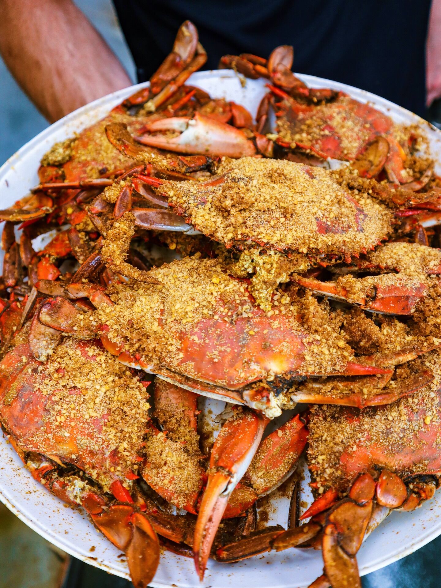 Overhead view of steamed crabs at Hooper's
