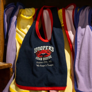 Hooper's logo baby bibs