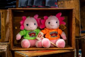 Hooper's Axolotol toy